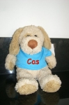 cas-hond