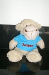 jasper-schaap